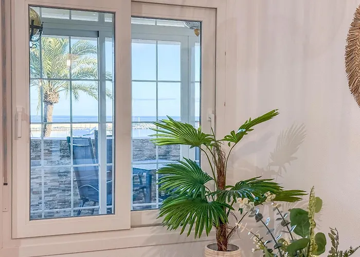 Hanami Puerto Paraiso 5-5