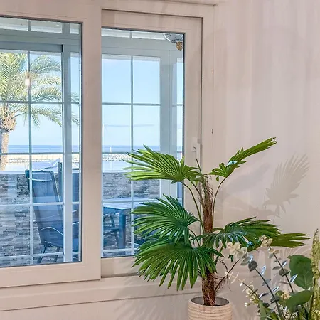 Hanami Puerto Paraiso 5-5